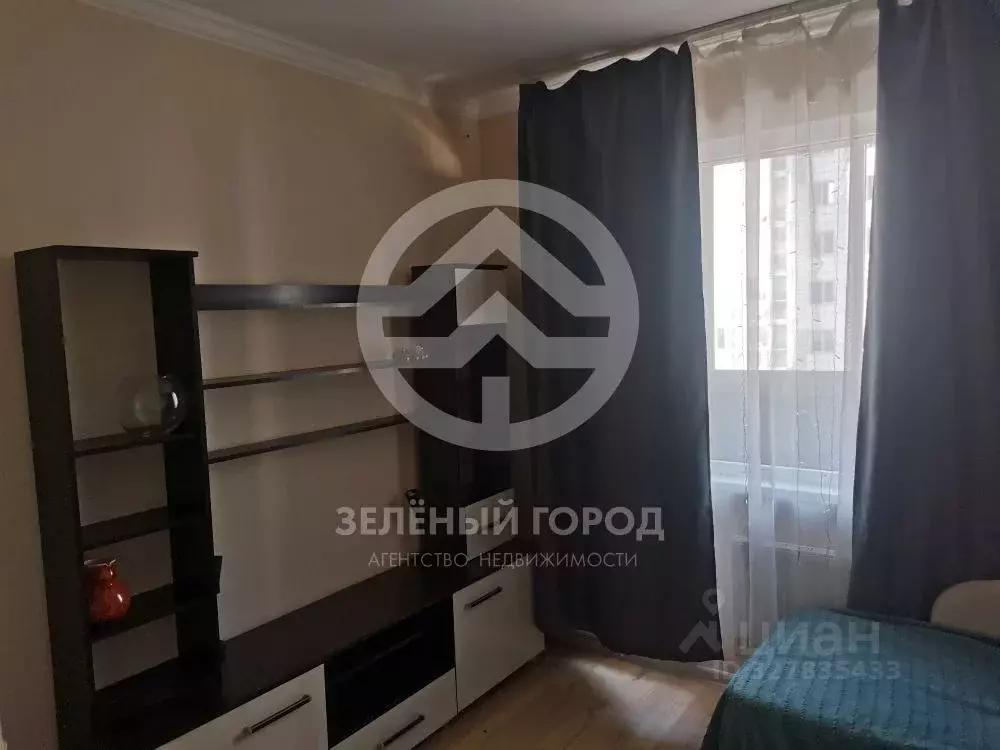 Студия Московская область, Солнечногорск городской округ, Голубое пгт ... - Фото 2