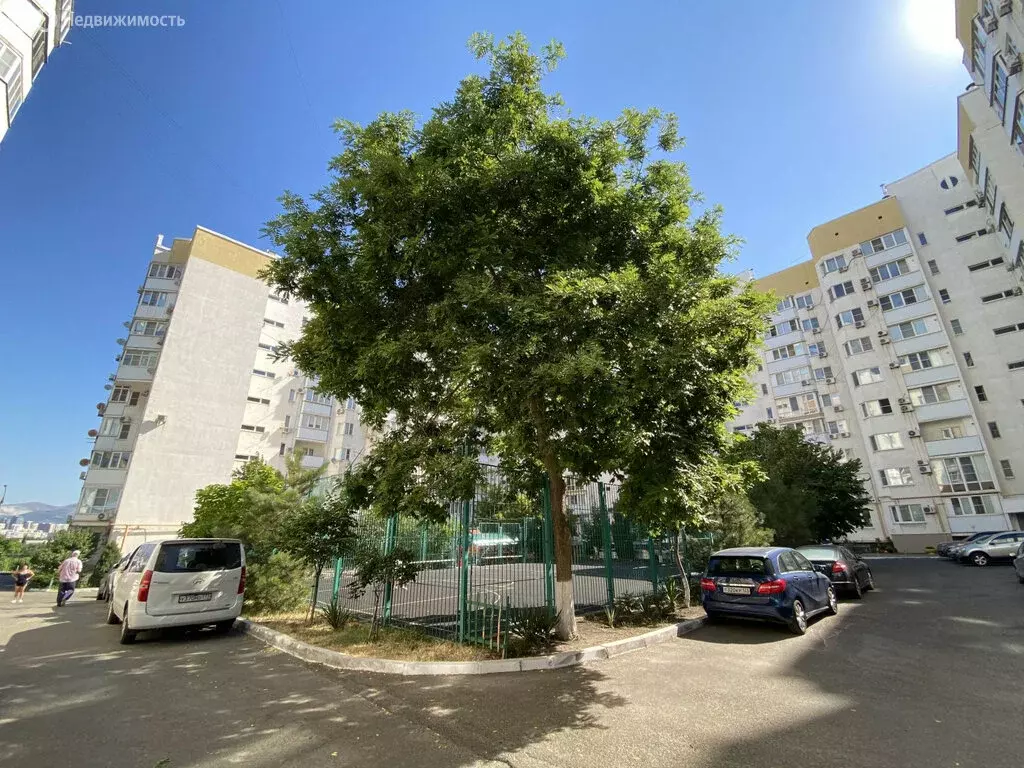 Квартира-студия: Новороссийск, Вербовая улица, 5 (20 м) - Фото 1