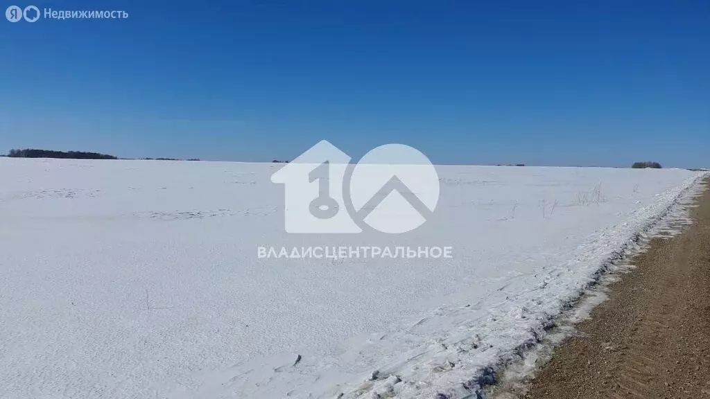 Участок в Новосибирская область, рабочий посёлок Колывань (1510 м) - Фото 1