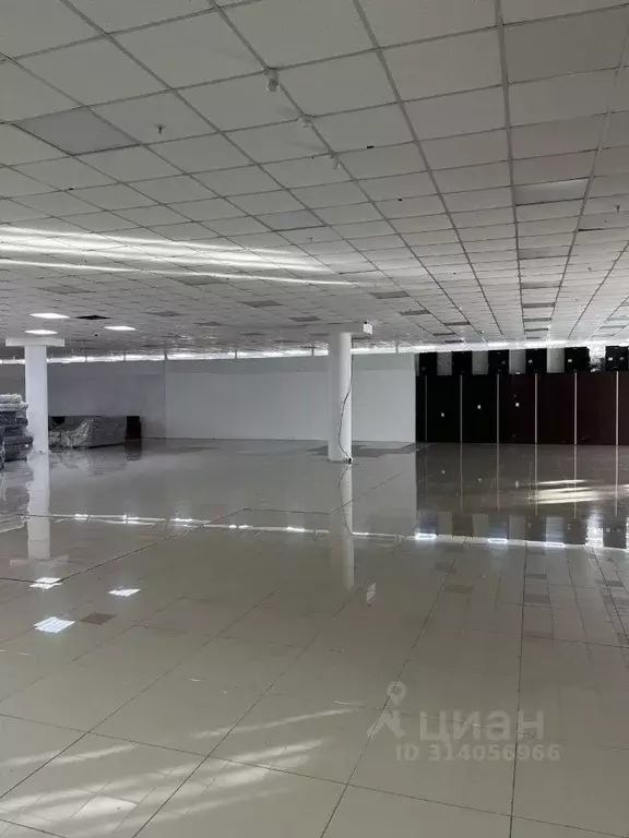 Торговая площадь в Ханты-Мансийский АО, Сургут ул. Маяковского, 57 ... - Фото 1