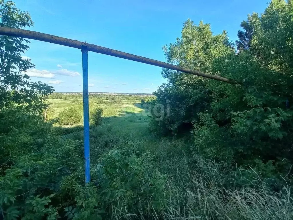 Участок в Белгородская область, Белгородский район, Беловское с/пос, ... - Фото 0