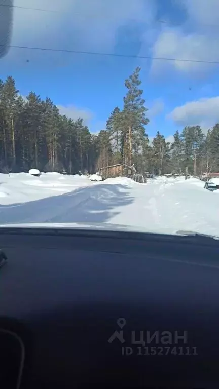 Участок в Алтай, Турочакский район, с. Старый Кебезень Совхозная ул. ... - Фото 1