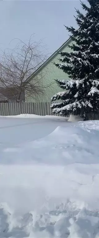 Дом в Новосибирская область, Искитимский район, Совхозный сельсовет, ... - Фото 2