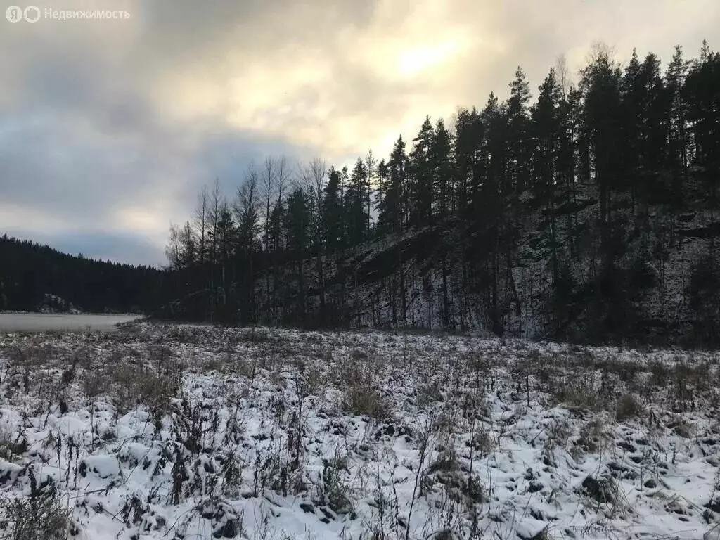 Участок в Республика Карелия, Лахденпохский муниципальный округ, ... - Фото 1