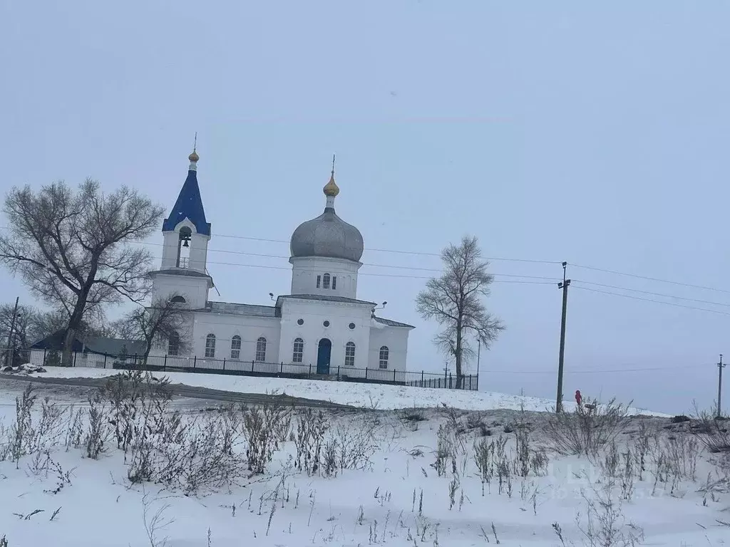 Участок в Оренбургская область, Оренбургский район, с. Нижняя Павловка ... - Фото 1