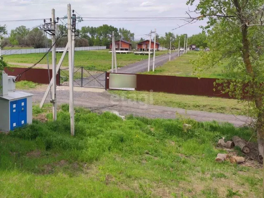 Участок в Ростовская область, Багаевский район, Манычское с/пос, ... - Фото 1