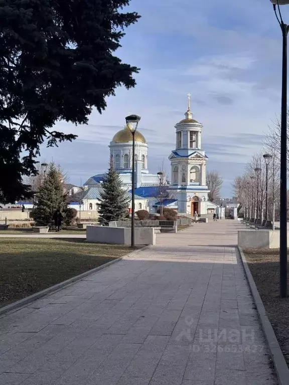 2-к кв. Воронежская область, Воронеж ул. 25 Октября, 33 (72.0 м) - Фото 2