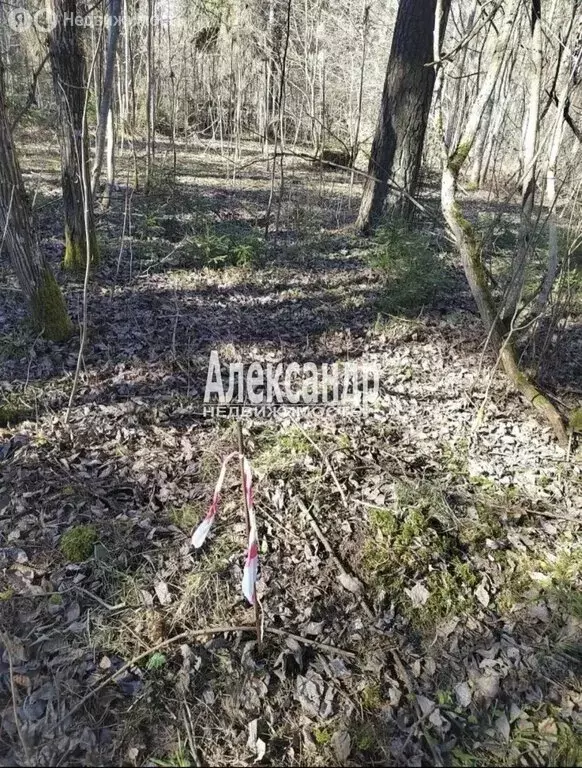 Участок в Ленинградская область, Гатчинский муниципальный округ, ... - Фото 1