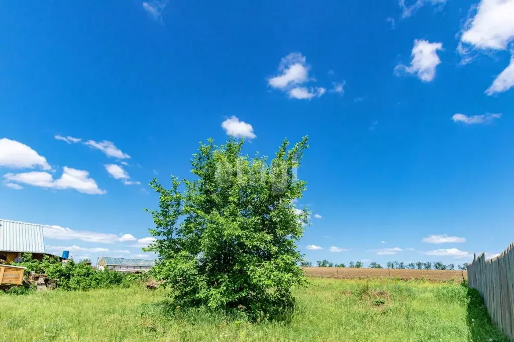 Дом в Алтайский край, Барнаул городской округ, с. Власиха ул. ... - Фото 1