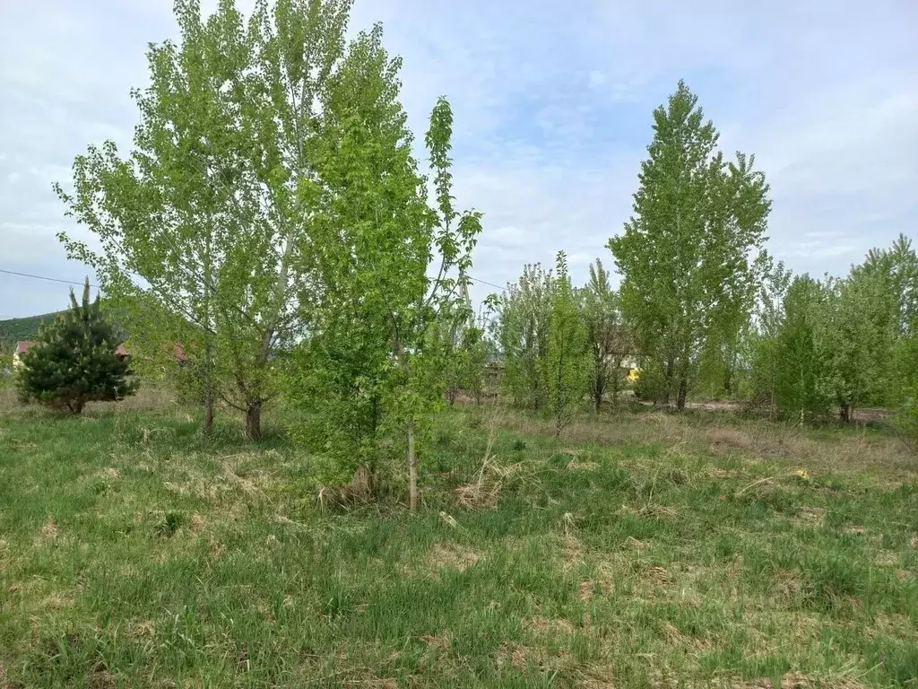 Участок в Алтай, Майминский район, с. Подгорное ул. Заречная, 46 (15.0 ... - Фото 2