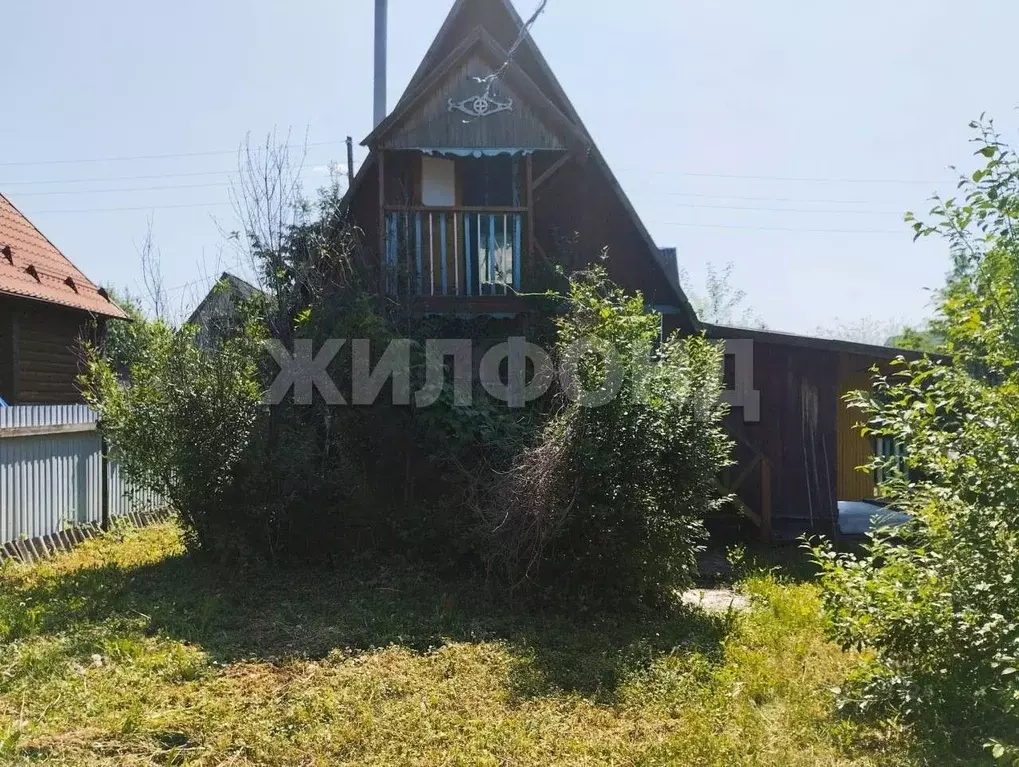 Дом в Новосибирская область, Колыванский район, с. Скала  (50 м) - Фото 2