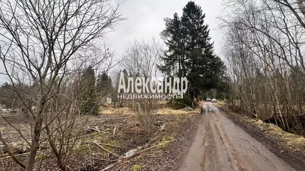 Участок в Ленинградская область, Выборгский район, Гончаровское с/пос, ... - Фото 2