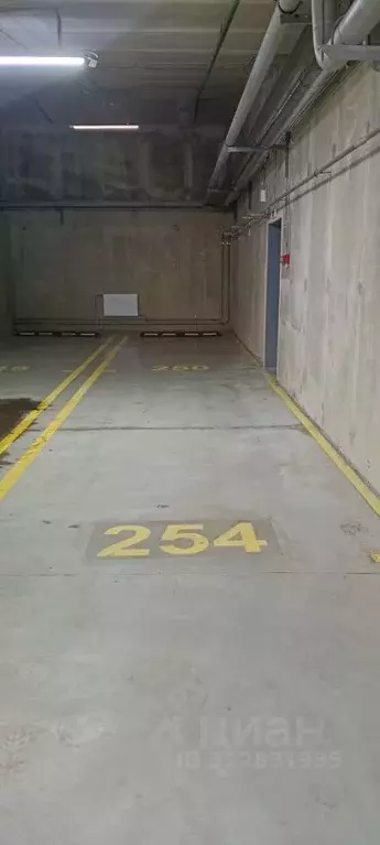 Гараж в Санкт-Петербург дор. Кушелевская, 1к1 (31 м) - Фото 1