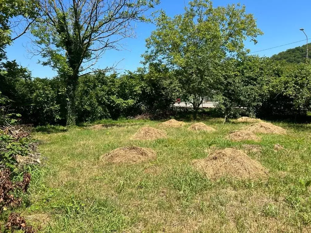 Участок в Краснодарский край, Геленджик муниципальное образование, с. ... - Фото 1