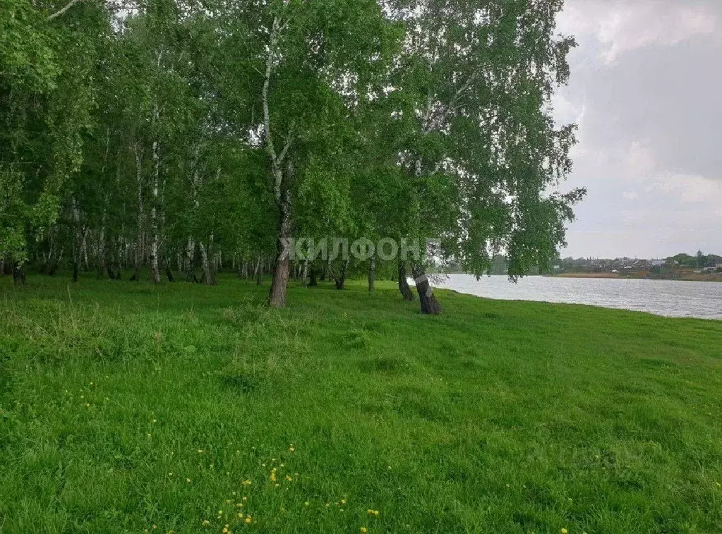 Участок в Новосибирская область, Искитимский район, д. Бурмистрово ... - Фото 1
