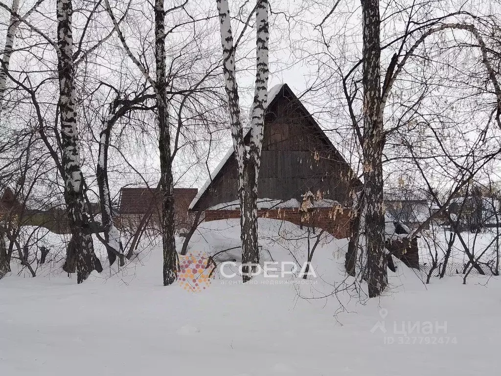 Участок в Новосибирская область, Новосибирский район, Барышевский ... - Фото 1
