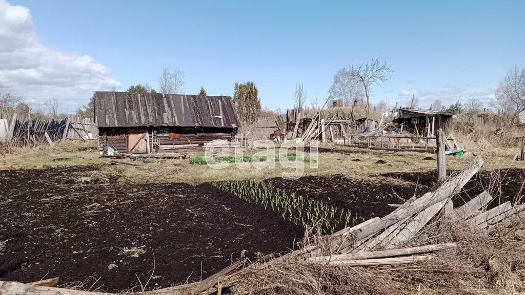 Участок в Вологодская область, Торфяник-1 садоводческое товарищество  ... - Фото 1