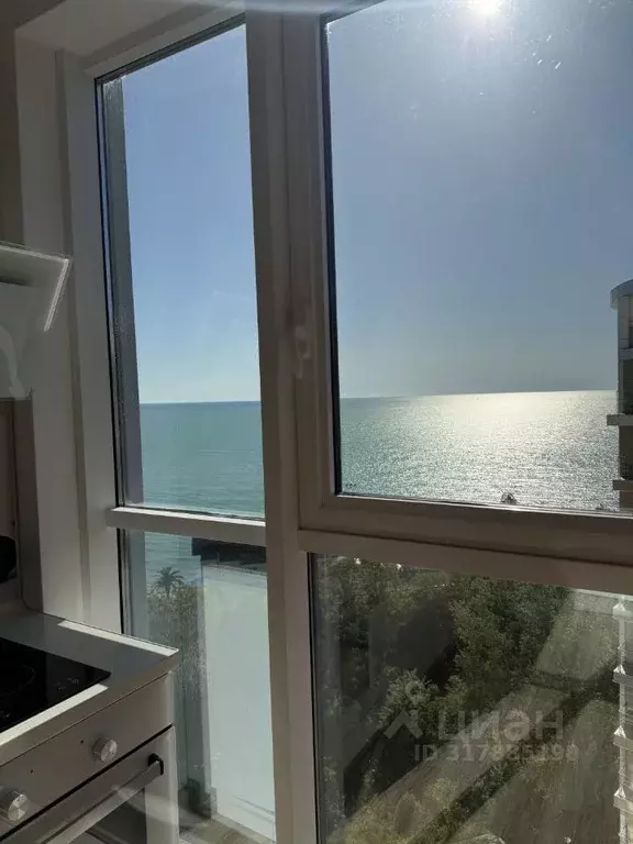 Студия Краснодарский край, Сочи Мамайка мкр, ул. Крымская, 89 (25.0 м) - Фото 1