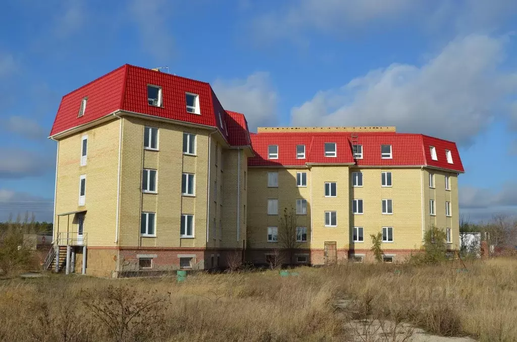 Помещение свободного назначения в Самарская область, Ставропольский ... - Фото 1