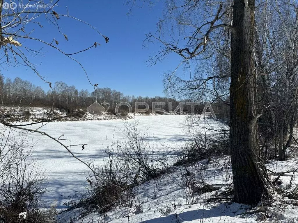 Участок в Тюменский район, село Онохино (189.56 м) - Фото 1