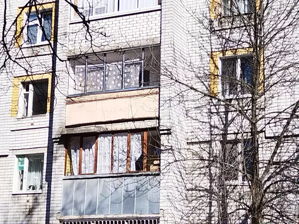 1-к кв. Брянская область, Брянск Советская ул., 32А (30.4 м) - Фото 1