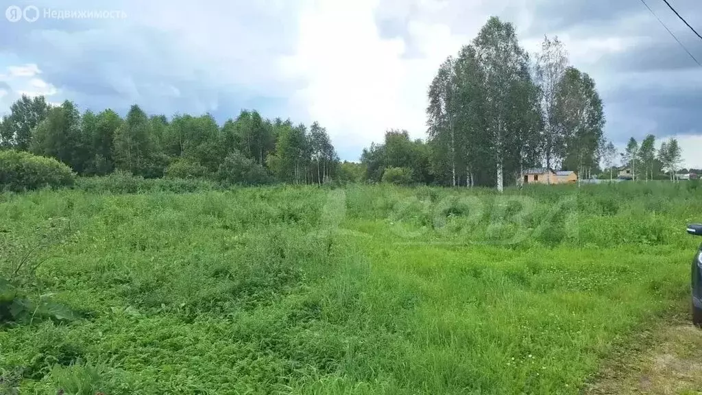 Участок в Тюмень, Центральный округ (12 м) - Фото 2
