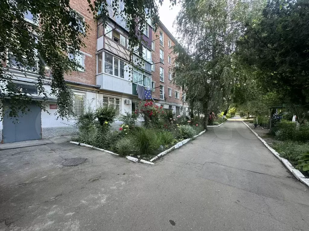 2-к. квартира, 48,6 м, 4/5 эт. - Фото 1