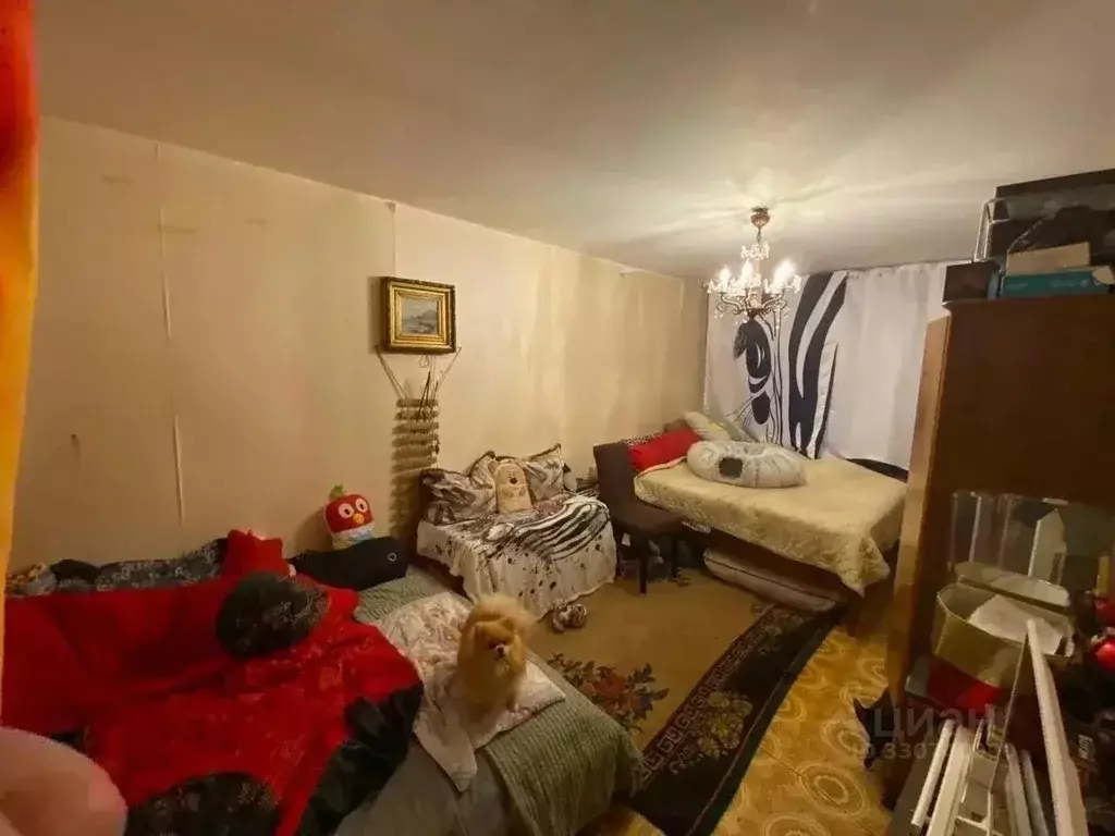 1-к кв. Москва ул. Артамонова, 11К2 (32.4 м) - Фото 1