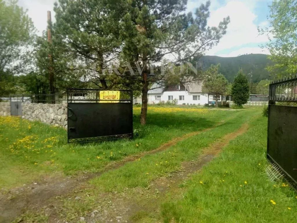 Дом в Алтай, Майминский район, с. Соузга Центральная ул. (59 м) - Фото 2