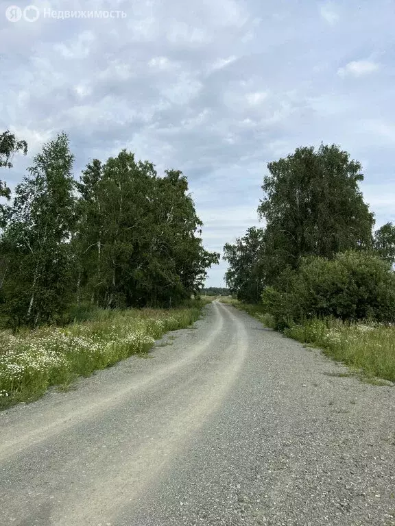 Участок в Челябинская область, Еткульский муниципальный округ, ... - Фото 0