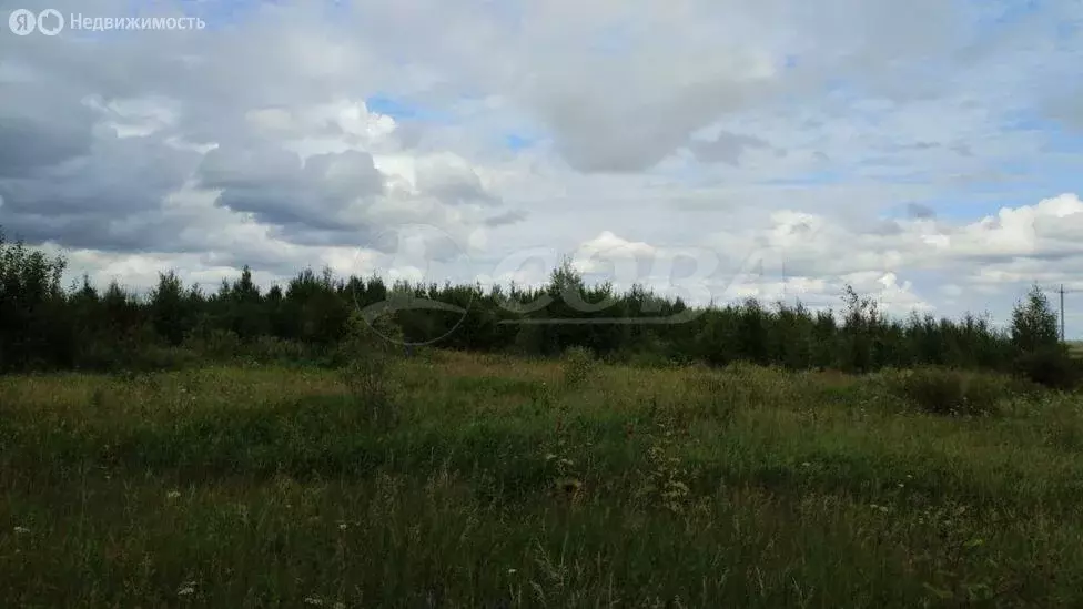 Участок в Свердловская область, Тугулымский муниципальный округ, ... - Фото 1