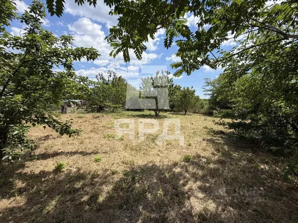 Участок в Ростовская область, Таганрог ул. Надежды Сигиды (4.2 сот.) - Фото 2