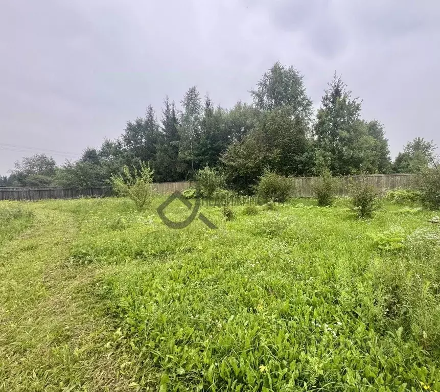 Участок в Московская область, Истра муниципальный округ, д. Кашино ул. ... - Фото 1