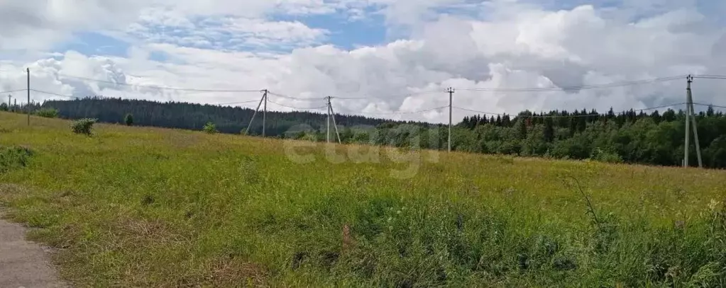 Участок в Пермский край, Пермский муниципальный округ, д. Ложки ул. ... - Фото 1