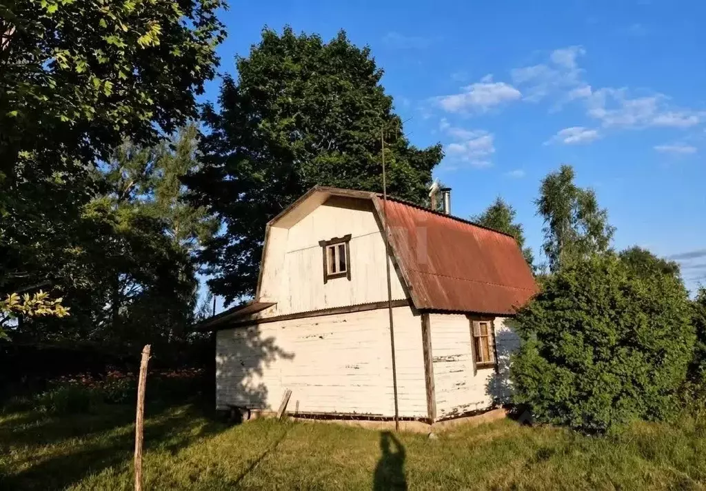 Дом в Псковская область, Островский муниципальный округ, д. Свеклино  ... - Фото 1