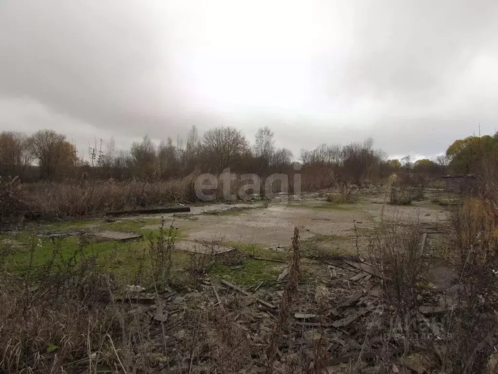 Участок в Вологодская область, Череповецкий район, д. Горка ... - Фото 1