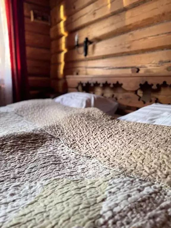 Дом в Владимирская область, Суздаль Покровская ул., 27А (102 м) - Фото 2