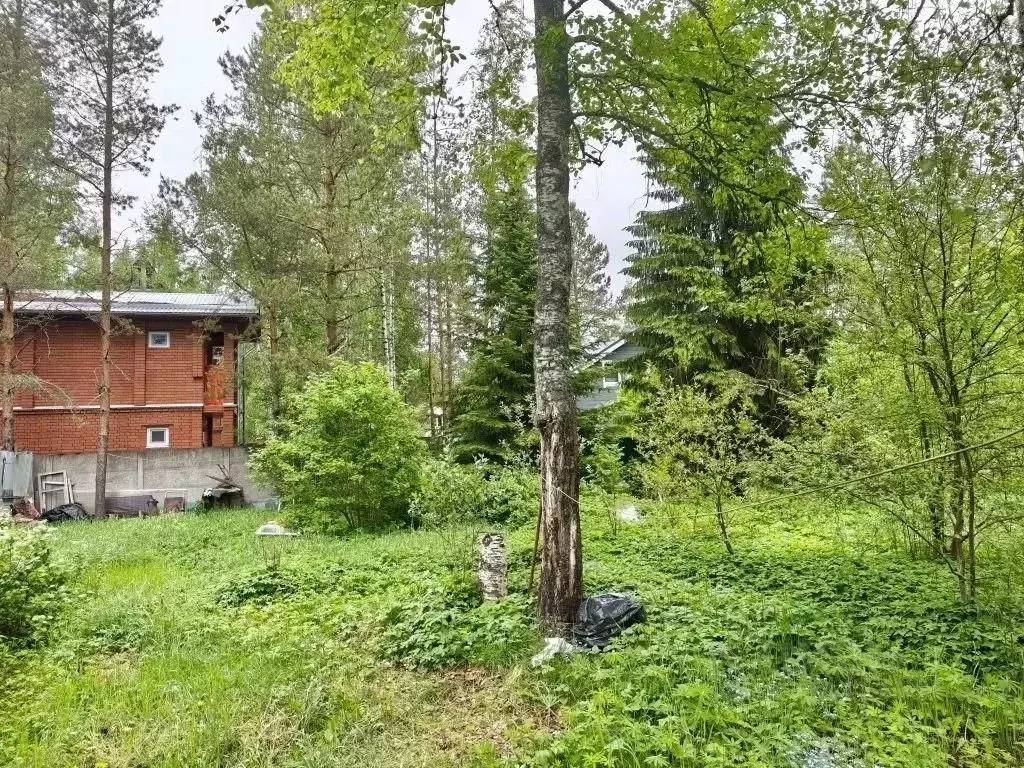 Участок в Ленинградская область, Выборгский район, Рощинское городское ... - Фото 1