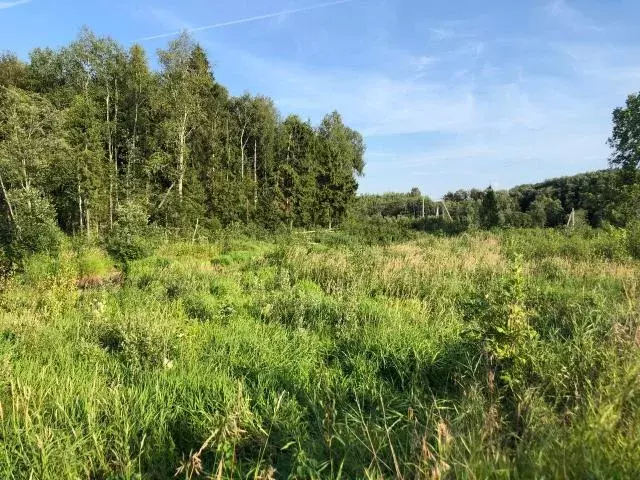 Продается участок в д. Маньково - Фото 2