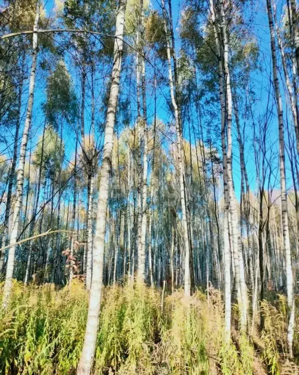 Участок в Тульская область, Тула городской округ, с. Частое  (10.0 ... - Фото 1