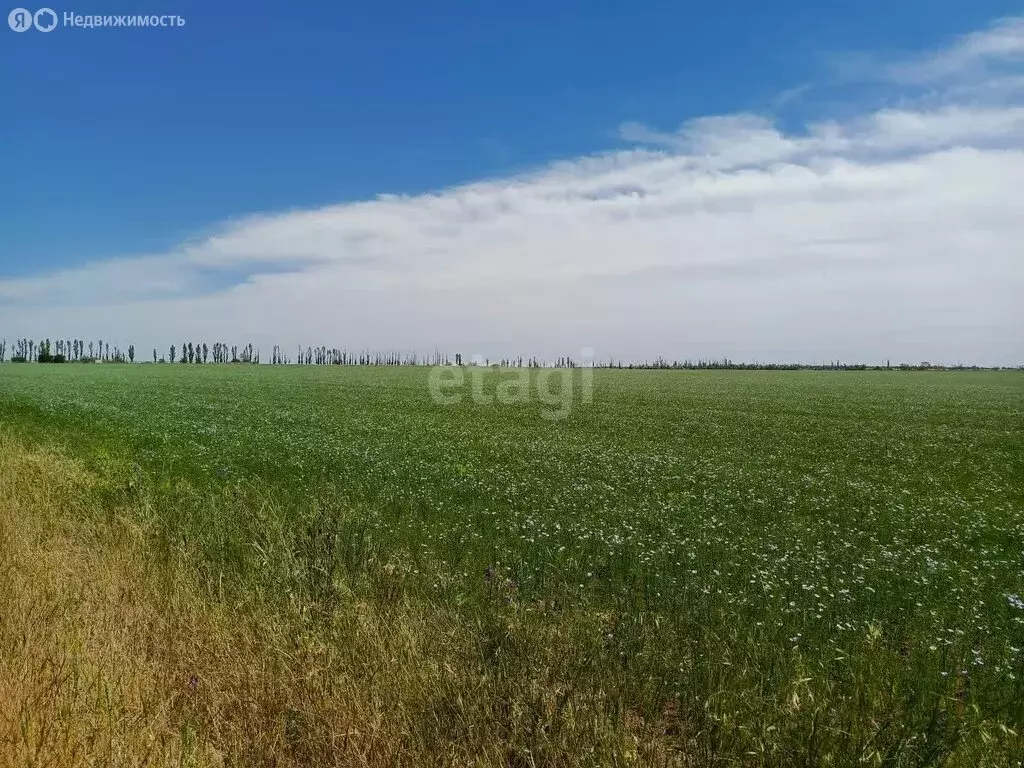 Участок в Сакский район, село Ивановка (308.3 м) - Фото 1