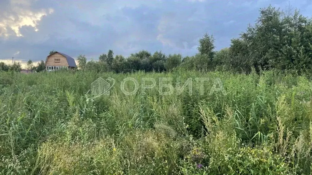 Участок в Тюменская область, Тюмень Большое Царево-1 ТСН,  (9.92 сот.) - Фото 1