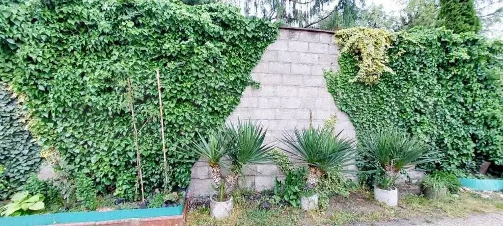 Дом 90 м на участке 2 сот. - Фото 0