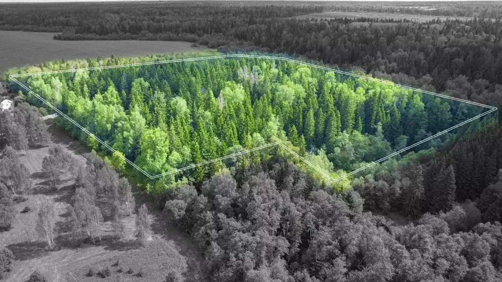 Участок в Московская область, Одинцовский городской округ, Рига лес кп ... - Фото 1