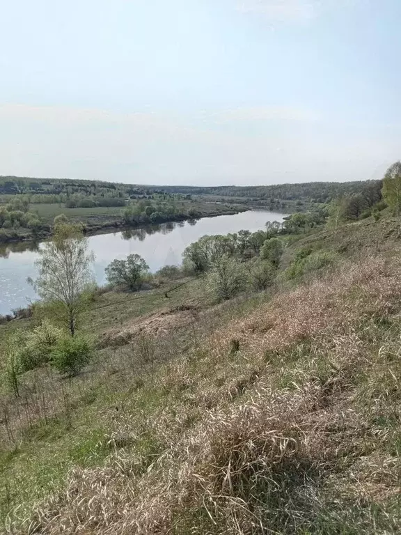 Участок 19,8 сот. (ИЖС) - Фото 0