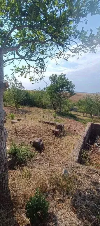 Участок в Крым, Симферопольский район, Добровское с/пос, Медик-Плюс ... - Фото 1