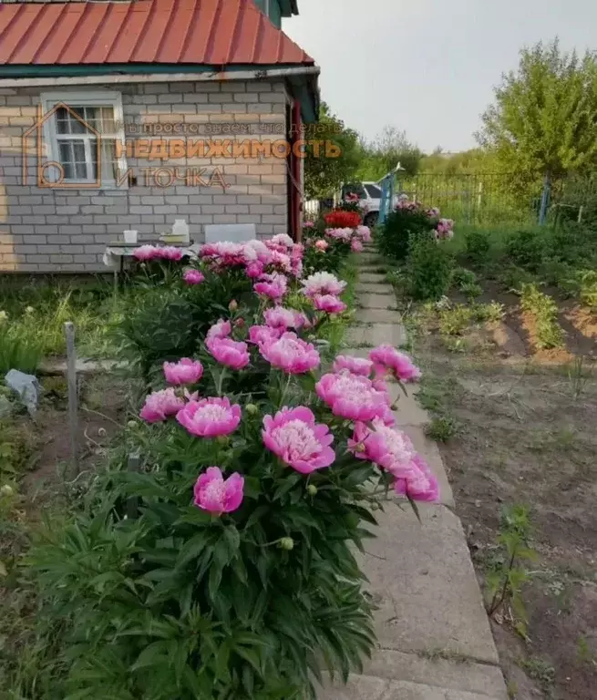Дача 26 м на участке 6 сот. - Фото 1