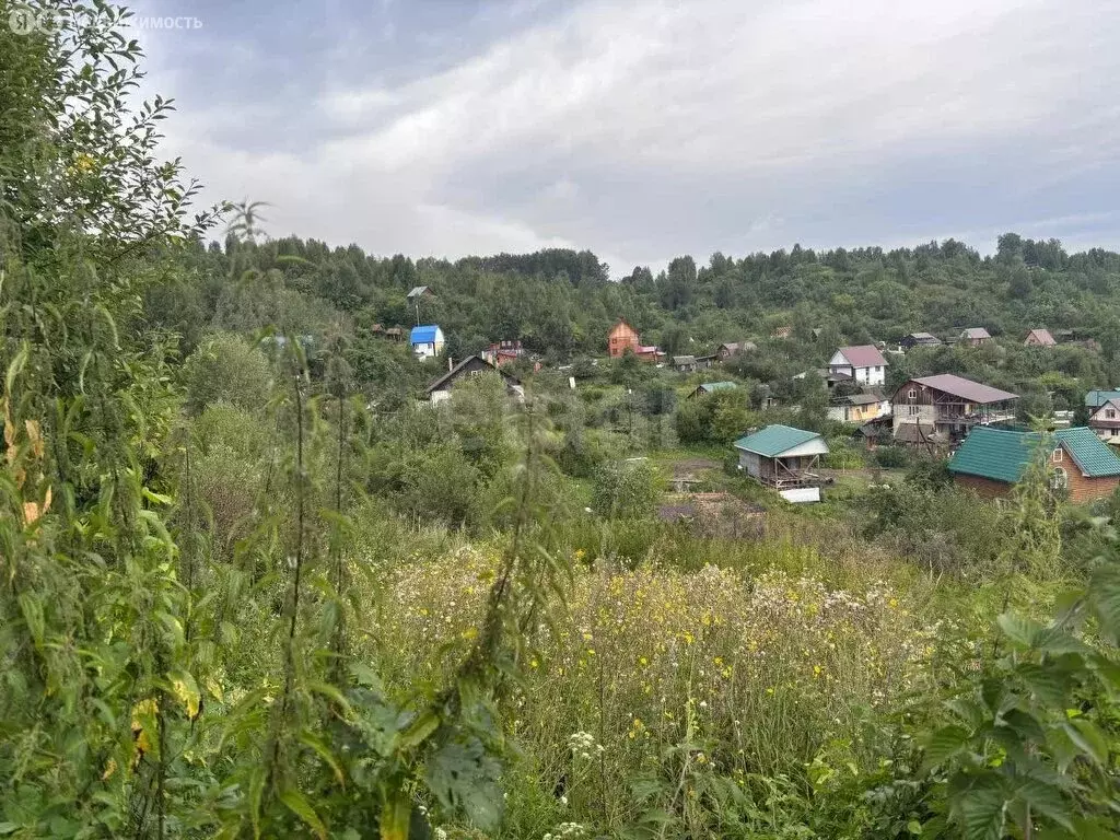 Участок в Горно-Алтайск, СНТ Рябинушка (10.5 м) - Фото 2