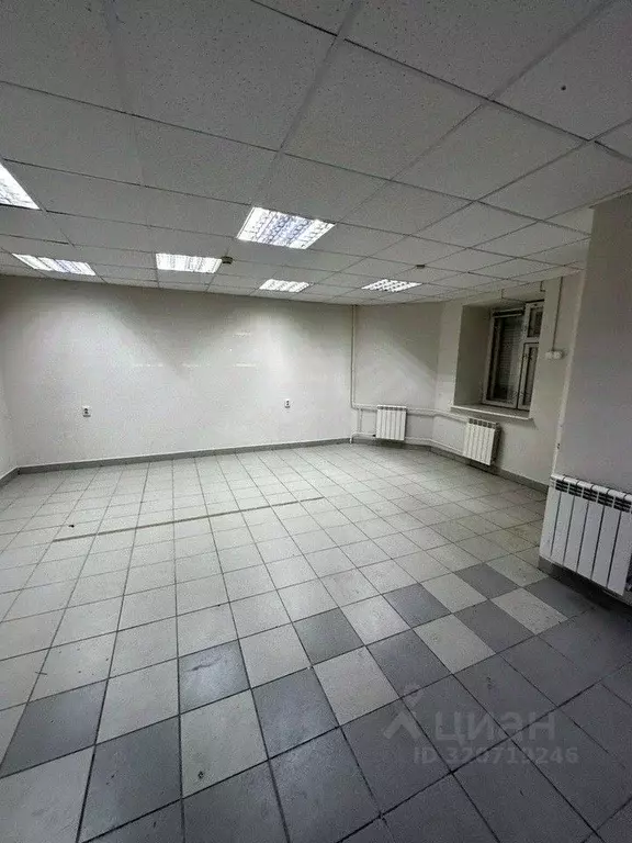 Торговая площадь в Чувашия, Новочебоксарск ул. Винокурова, 66 (62 м) - Фото 0