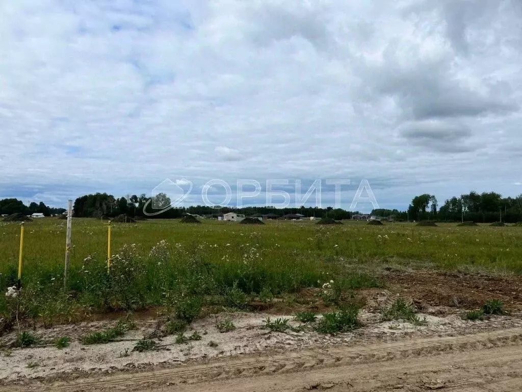 Участок в Тюменская область, Тюменский район, Новокаменский кп  (10.0 ... - Фото 1